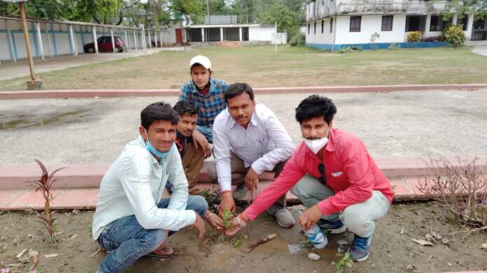 मधेपुरा जिला स्थापना दिवस पर ऑल इंडिया स्टूडेंट यूनियन ने सफाई अभियान चलकर किया  वृक्षारोपण